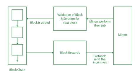 Block Rewards: Incentives for